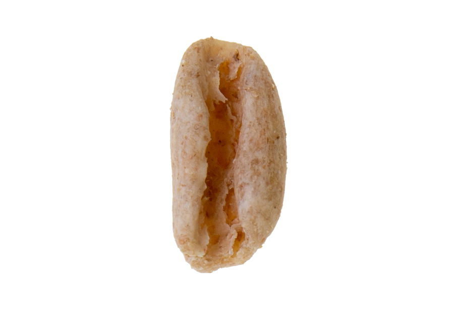 Cavatelli Integrali
